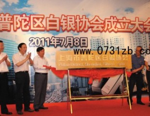 致力现货交易 成立行业协会上海打造白银一条街