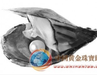 水产学院教授揭底大连不产珍珠