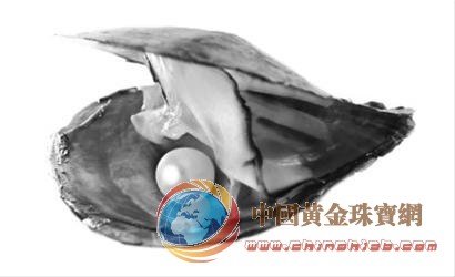 水产学院教授揭底大连不产珍珠