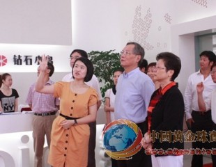 上海市委领导王战一行调研珠宝零售品牌钻石小鸟