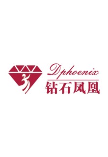 深圳市钻石凤凰饰品有限公司