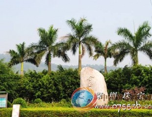 依托区位优势 打造高端珠宝文化产业园