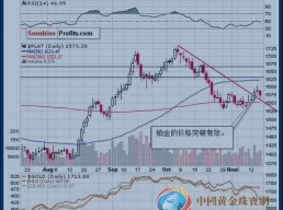 铂金和钯金：贵金属投资组合之选