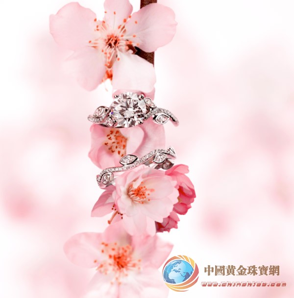 点击图片查看下一页