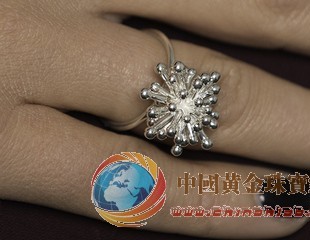 3D打印会否加剧艺术和珠宝首饰的造假现象