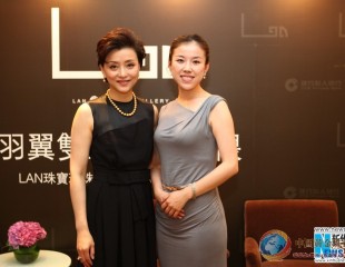 杨澜亮相珠宝活动优雅高贵 分享与珍珠美丽情缘