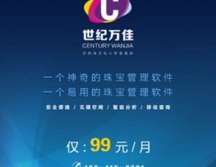 一个突破传统的软件公司——世纪万佳科技公司