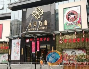 颠覆翡翠销售模式，翠花新零售亮剑终端！