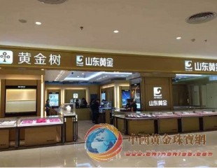 布局完整黄金综合服务链 黄金树强化回购、存金环节