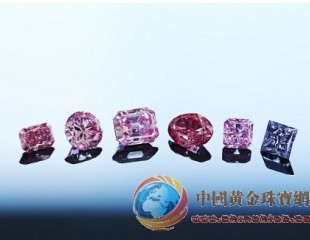 力拓展出投标会史上最大中彩紫红钻石