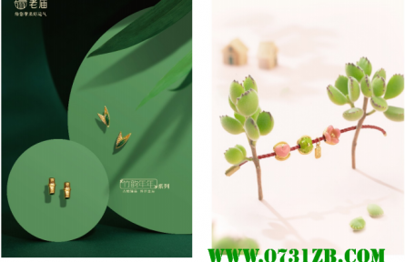 盎然添彩，舞动夏日轻盈——老庙特别呈现夏季活力风尚