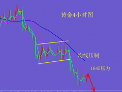 王杨:黄金强势反弹，早盘1645支撑干多！