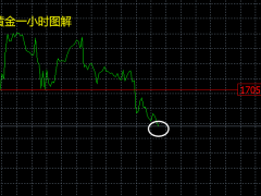 张良点金：黄金1708波段空持有！原油日内回落低多！~