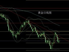 董镇元：区间整理待通胀 金银孕线回踩多