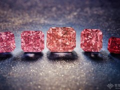 Rio Tinto 最后一场 Argyle 矿区粉钻招标