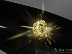 迪奥呈现88.88克拉黄钻 致敬“蒙田大道三十号”