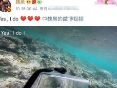 魏晨水下求婚成功，扒一扒明星们的花式求婚