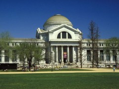 揭秘Smithsonian博物馆那些著名捐赠珠宝