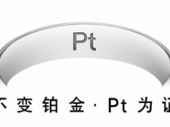 铂金pt是什么意思|铂金价格今天多少一克