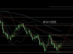 董镇元：日线构建头肩底 金银区间操作