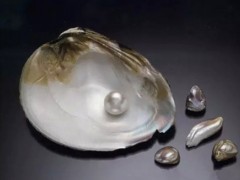 什么是南洋珍珠?南洋珍珠为何那么贵?