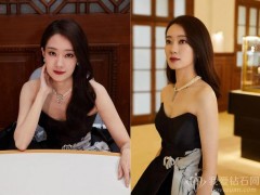 宋佳、张小斐等众明星共赴卡地亚晚宴 见证跨越一个世纪的时光之美
