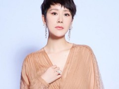 海清佩戴戴比尔斯珠宝出席盛典活动