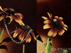戴比尔斯（De Beers）推出 Dewdrop 系列10周年珠宝新作