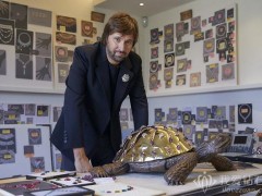 法国奥赛博物馆展出一只宝格丽“Tortue de Soirée” 海龟珠宝雕塑
