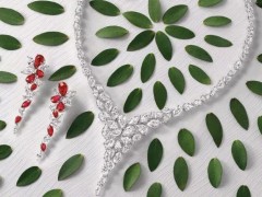 格拉夫以全新FOLIAGE系列颂扬音乐与创意