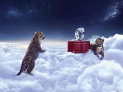 卡地亚经典系列——猎豹系列戒指