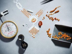 路易威登Louis Vuitton：锁链风格High Jewellery