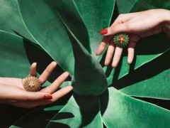卡地亚推出全新Cactus de Cartier系列珠宝