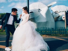 刘诗诗结婚钻戒与婚纱美照（图）