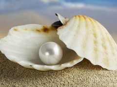 勿入清洁雷区 注意这些不同珠宝的清洗重点