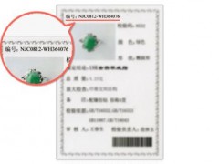 NGTC证书查询鉴定全攻略