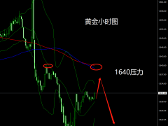 杜康：黄金反弹还是空，早盘1640压力空！