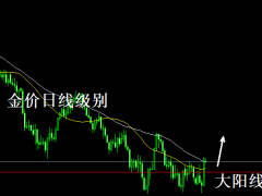 头狼：黄金强势支撑，1666干多