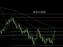 董镇元：通胀预期推美指 金银倒锤空后多