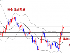 王导：暴涨之后必有洗盘，黄金1753直接空