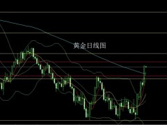 董镇元：通胀回落压美指 金银破颈延续多
