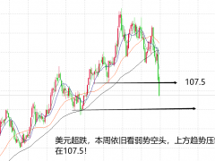 山海杨阳：黄金周内先涨后跌，周初关注支撑点位多！