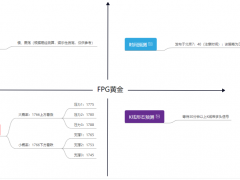 FPG财盛国际：美联储二把手称需要放缓加息步伐，黄金时代到来？