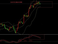 张文辉：黄金窄幅修正 原油