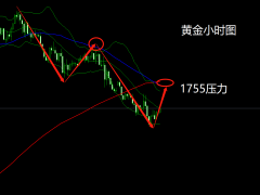 杜康：黄金下跌遇阻，早盘1732支撑做多！
