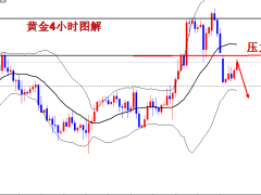 王导：黄金随时瀑布，目标1730不变