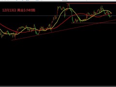 张文辉：黄金震荡待突破 原油反弹