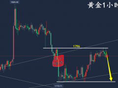 万锦晟12.19最新黄金走势分析，黄金高位横盘受阻谨防下跌！