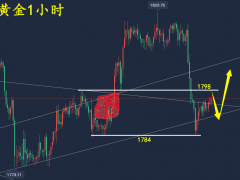 万锦晟12.23黄金下跌难延续莫追空，黄金仍看震荡偏多！