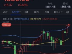 突发行情！金价大涨站上1880美元、美元再遭重创 焦点转向鲍威尔讲话 欧元、英镑、日元、澳元和黄金最新交易分析